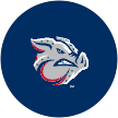 IronPigs
