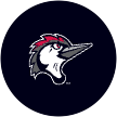 Woodpeckers