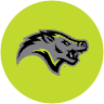 Javelinas