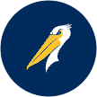 Pelicans