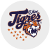Tigres de Quintana Roo