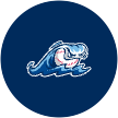 Whitecaps