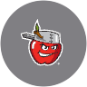 TinCaps