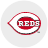 DSL Reds