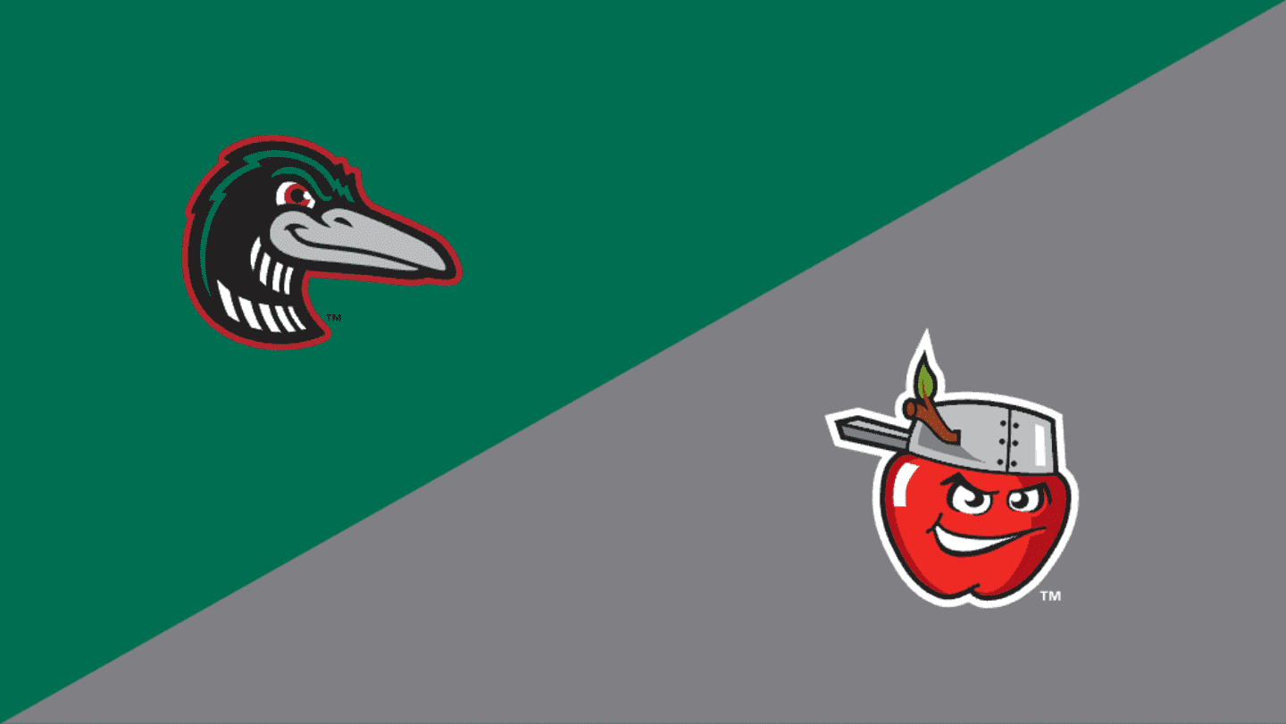 Gameday Loons 11, TinCaps 1 Final Score (04/24/2024)