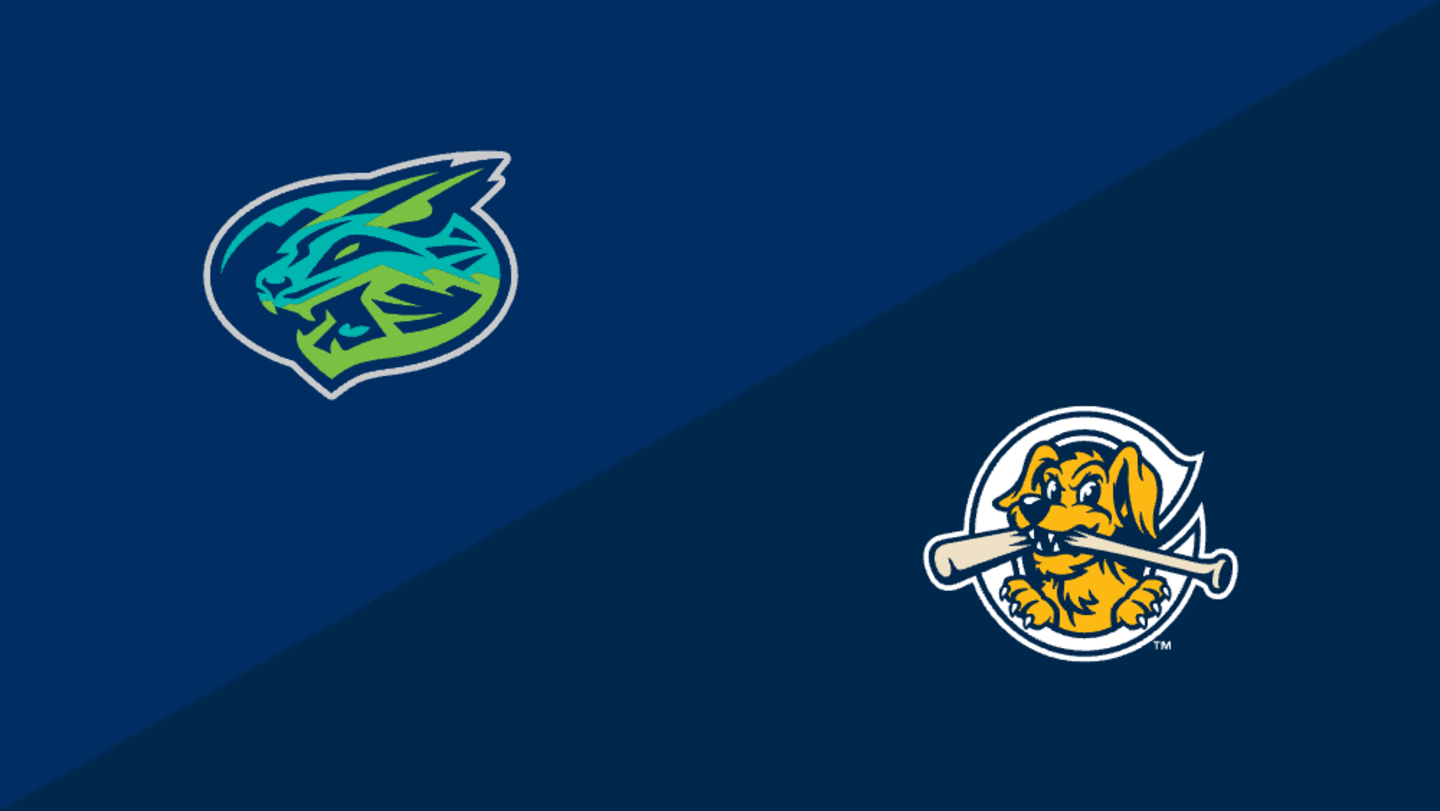 Gameday: Hillcats 8, RiverDogs 5 Final Score (06/19/2024) | MiLB.com