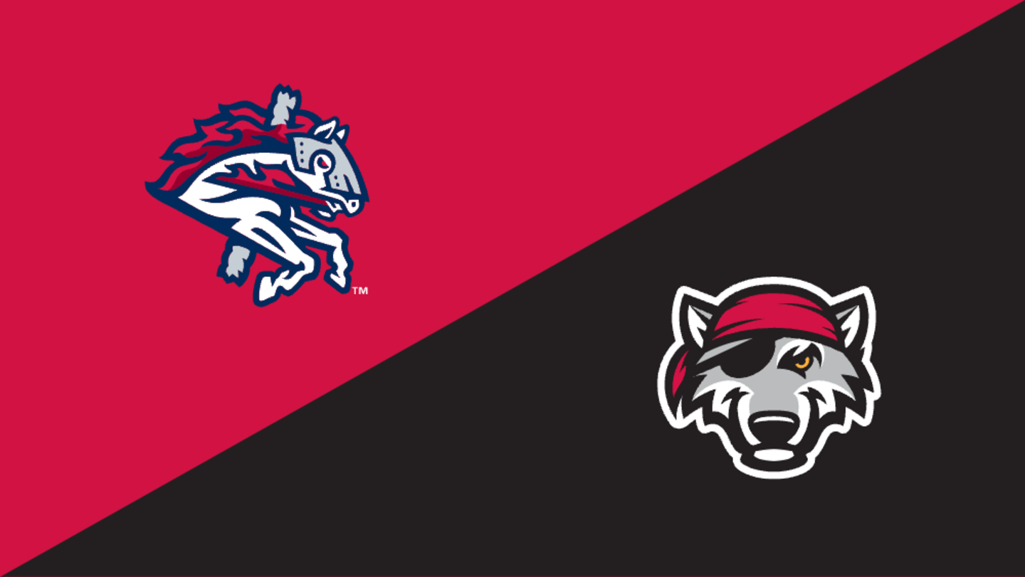 Event Feedback: Erie SeaWolves - Minor AA vs Binghamton Rumble Ponies